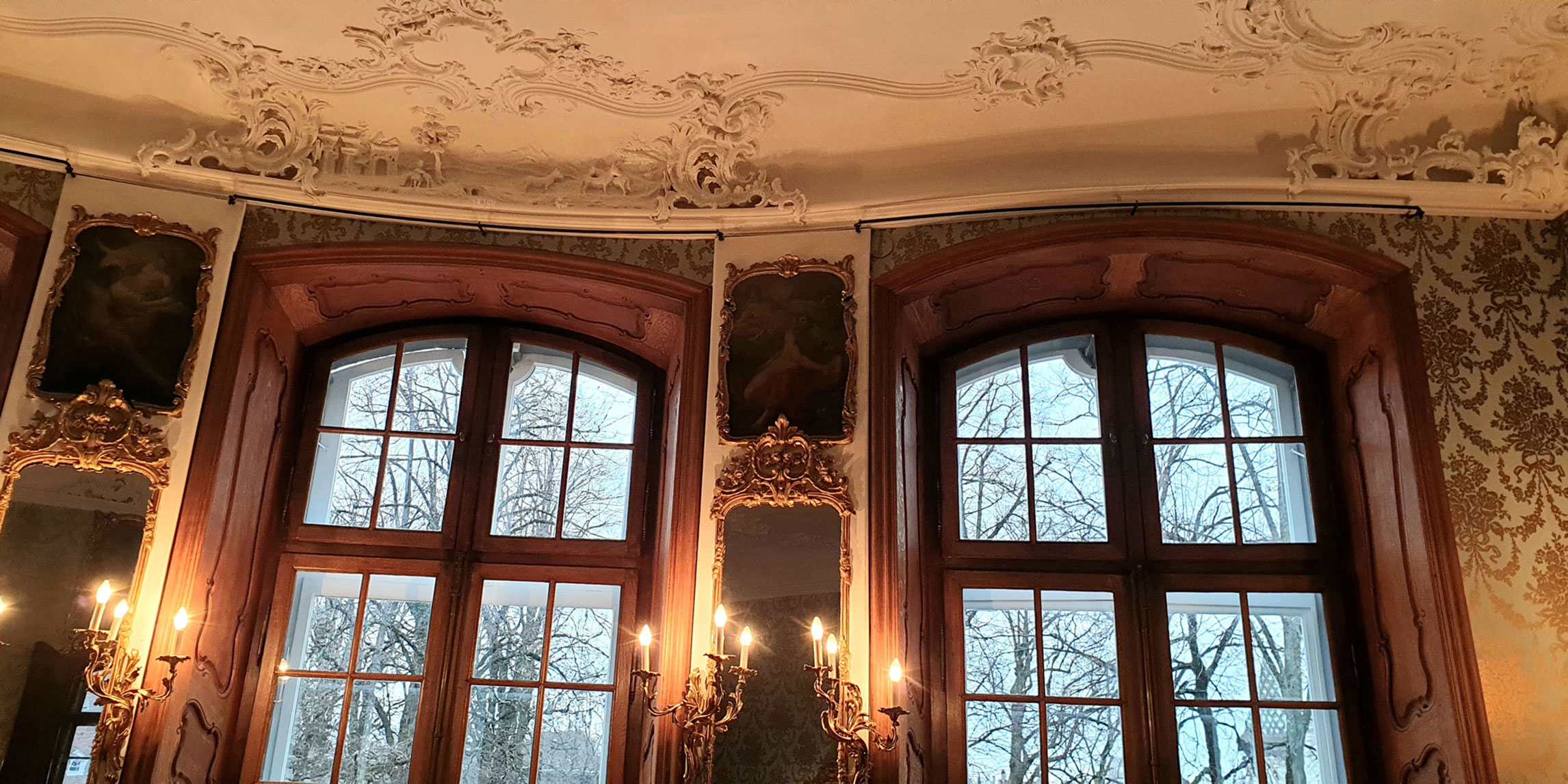 Zwei Fenster und eine Decke im Wildt'schen Haus, Basel