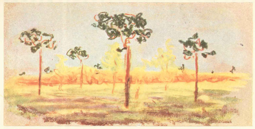 a nature study drawing showing a landscape with trees by August Endell